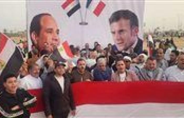 برلماني: قمة القاهرة الثلاثية تعيد التأكيد على الثوابت الدولية بشأن القضية الفلسطينية