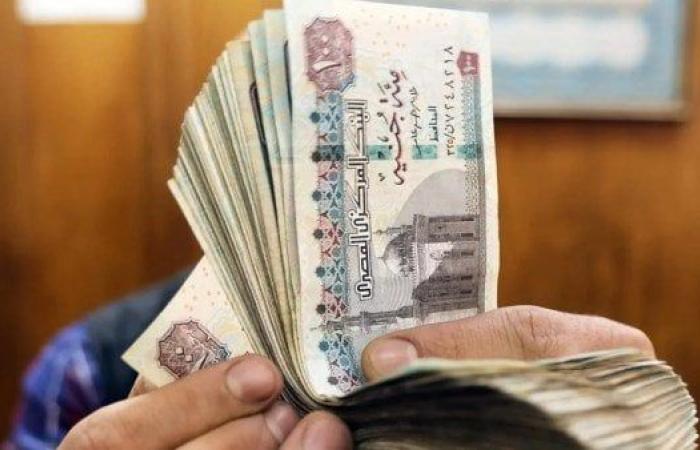 رابط الاستعلام عن منحة العمالة غير المنتظمة بالرقم القومي.. 1500 جنيه هدية