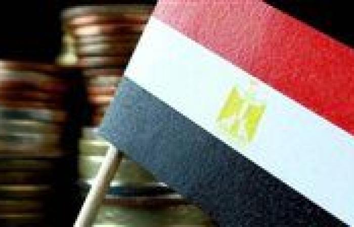 صندوق النقد والبنك الدولي يتوقعان ارتفاع النمو الاقتصادي في مصر