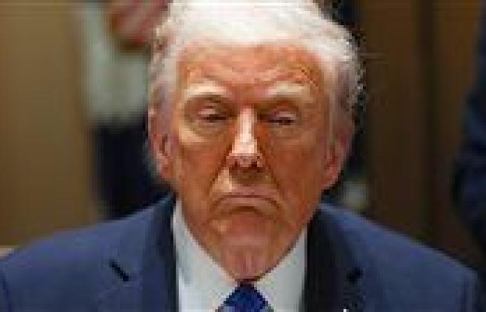 ترامب يطرد مستشار الأمن القومي من إدارته على خلفية فضيحة سيجنال