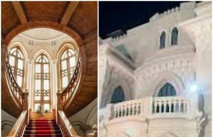 مايو الثقافي في الزمالك: فعاليات فنية وثقافية مجانية بمكتبة القاهرة الكبرى