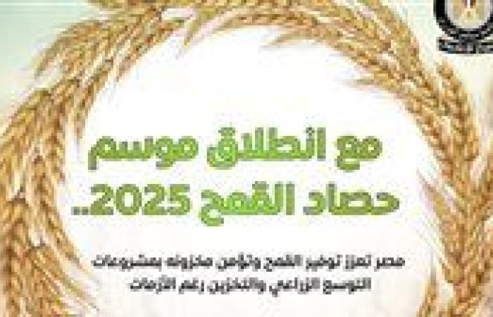 حصاد القمح 2025.. ما هي جهود الدولة لتعزيز الإنتاج المحلي وتأمين مخزونه؟