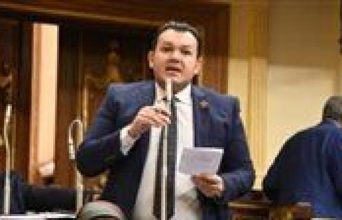 برلماني: جلسات النواب لمناقشة ملف الإيجار القديم تاريخية