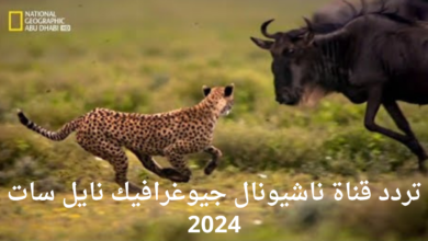 استقبل الآن.. تردد قناة ناشيونال جيوغرافيك 2024 على القمر الصناعي نايل سات وعرب سات