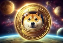 كل ما تريد معرفته عن DOGE وعلاقته بالعملات المشفرة ومنصب ماسك الجديد بإدارة ترامب