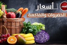 «الكوسة بـ10 والبرتقال بـ8».. أسعار الخضروات والفاكهة اليوم الجمعة 3 يناير 2025